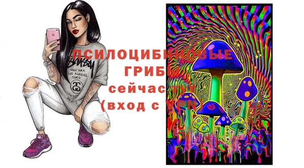 a pvp Баксан