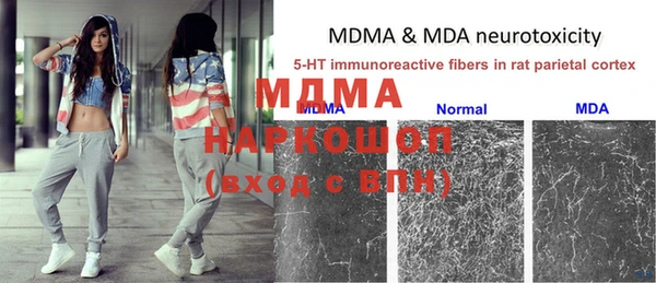гашик Балахна